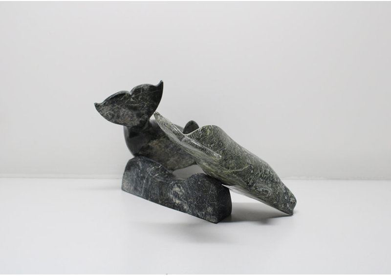 6330 Two belugas on base