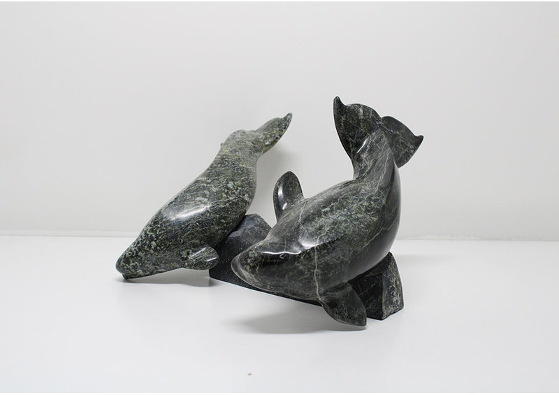 6330 Two belugas on base