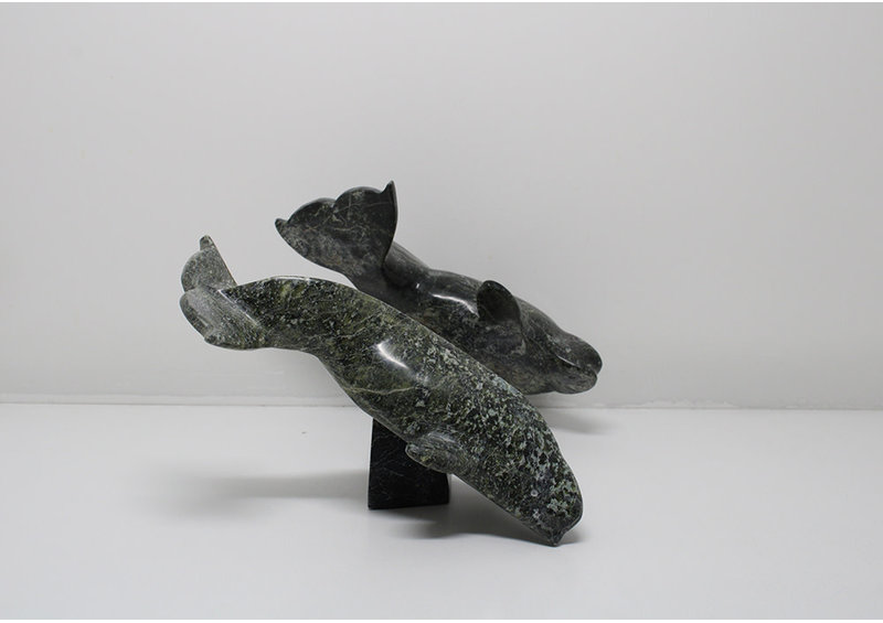 6330 Two belugas on base