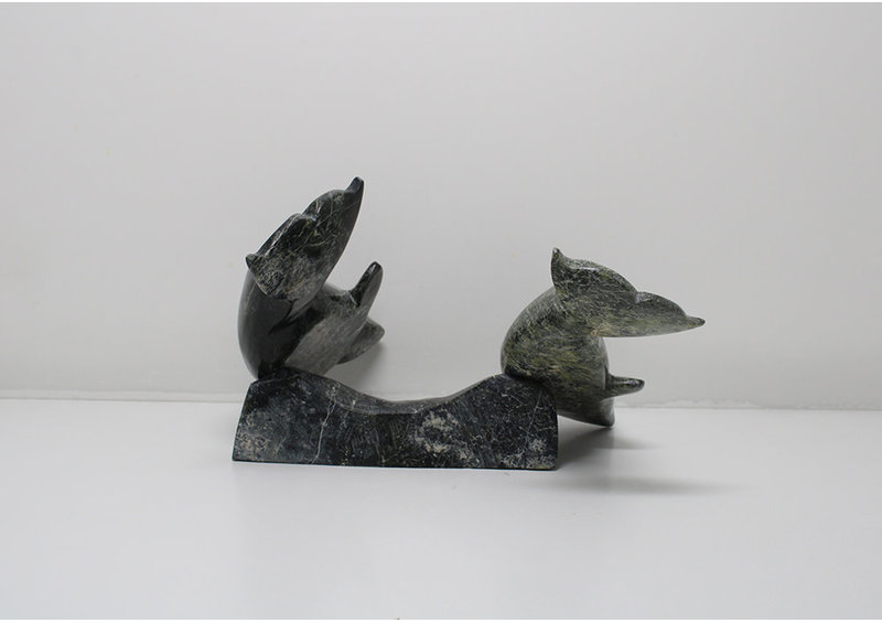 6330 Two belugas on base