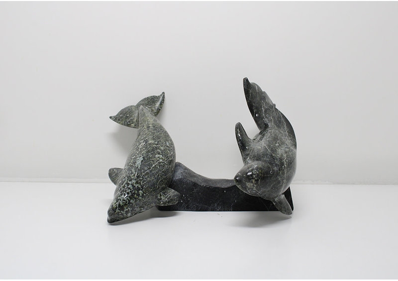 6330 Two belugas on base