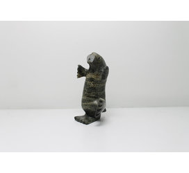 3160 Dancing walrus by Kootoo Shaa