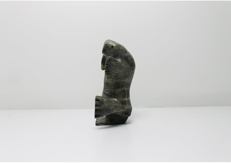 3160 Dancing walrus by Kootoo Shaa