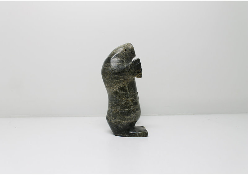 3160 Dancing walrus by Kootoo Shaa