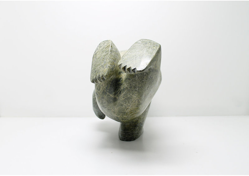 6975 Diving bear by James Noah Kelly