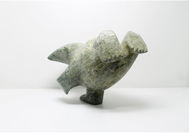 6975 Diving bear by James Noah Kelly