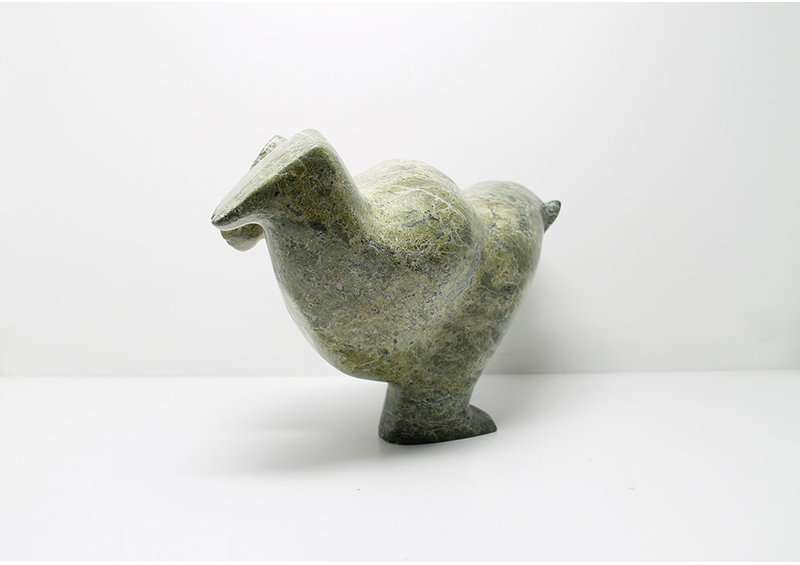 6975 Diving bear by James Noah Kelly