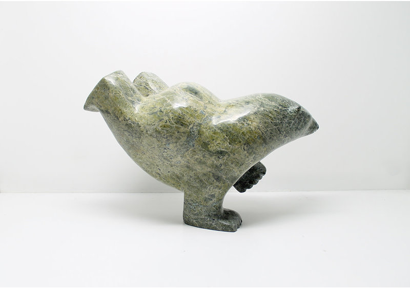 6975 Diving bear by James Noah Kelly