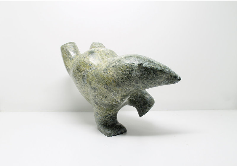 6975 Diving bear by James Noah Kelly