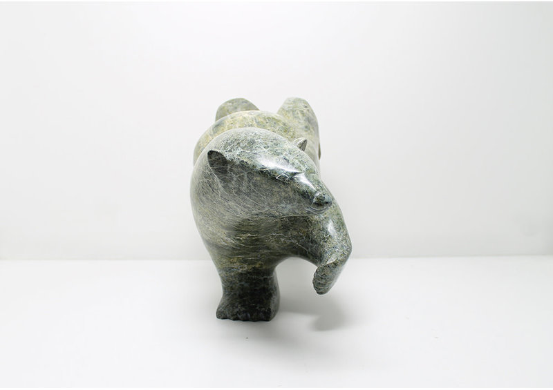 6975 Diving bear by James Noah Kelly