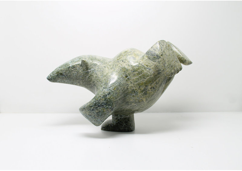 6975 Diving bear by James Noah Kelly