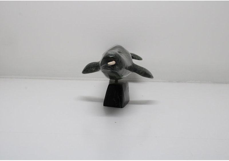 24123 Narwhal by Lyta Josephie