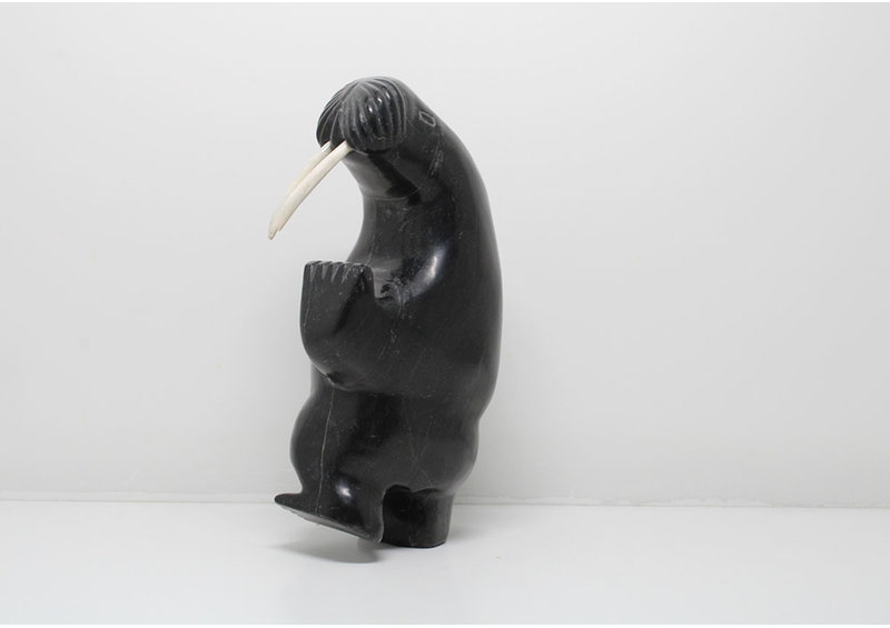 24185 2 way dancing walrus by Davidee Shaa