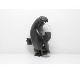 24185 2 way dancing walrus by Davidee Shaa