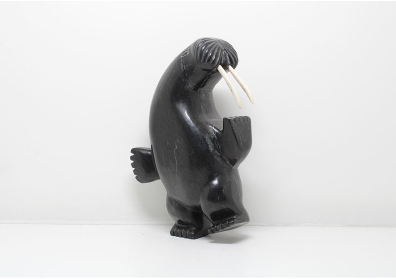 24185 2 way dancing walrus by Davidee Shaa