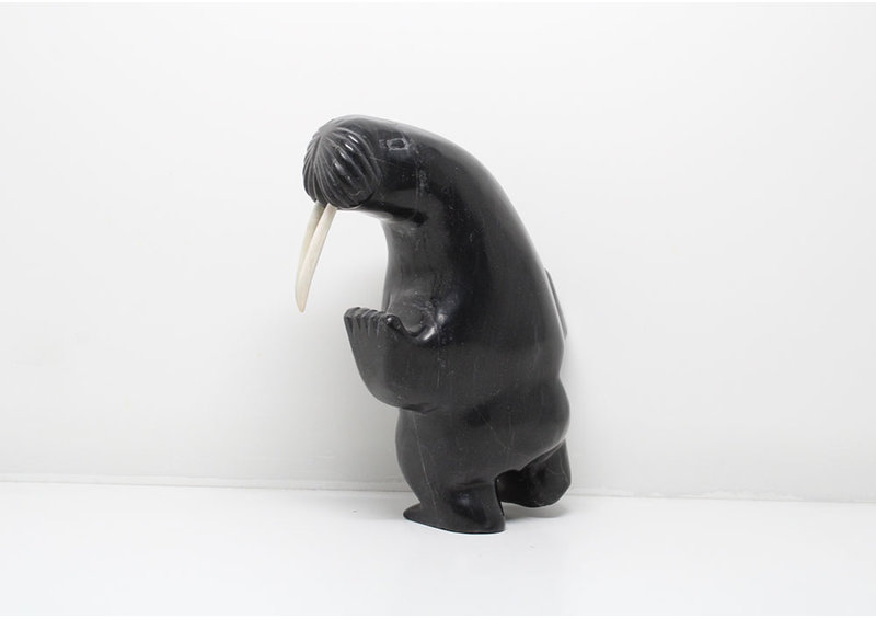 24185 2 way dancing walrus by Davidee Shaa