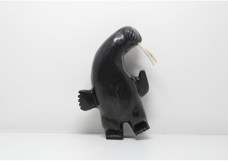 24185 2 way dancing walrus by Davidee Shaa