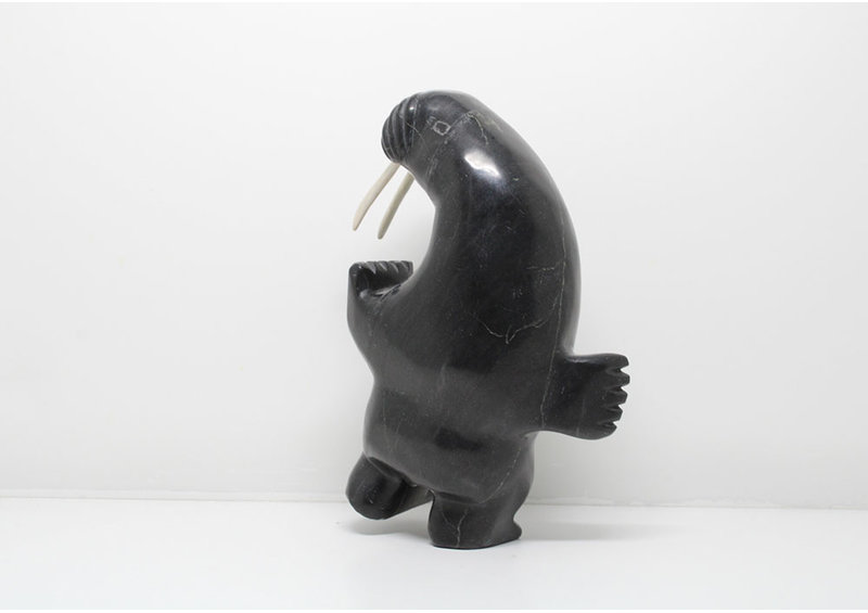 24185 2 way dancing walrus by Davidee Shaa