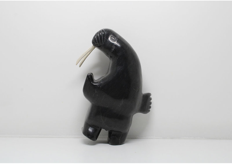 24185 2 way dancing walrus by Davidee Shaa