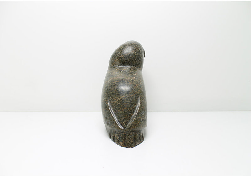 7431 Owl by Kupapi Ningeocheak