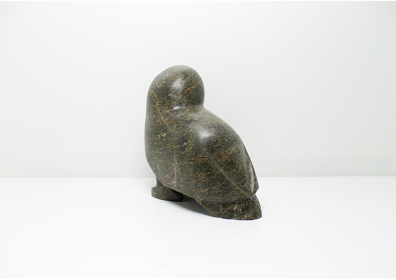 7431 Owl by Kupapi Ningeocheak