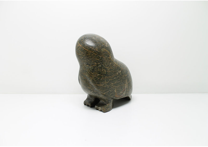 7431 Owl by Kupapi Ningeocheak