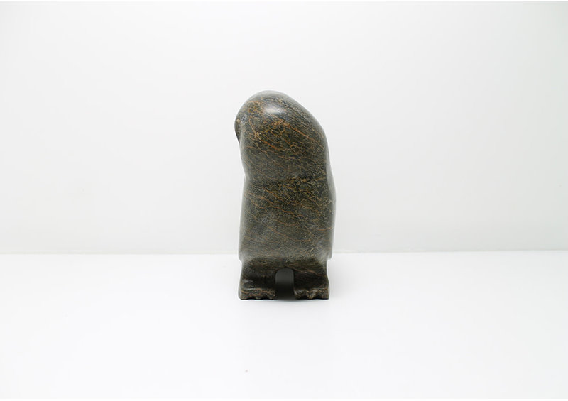 7431 Owl by Kupapi Ningeocheak