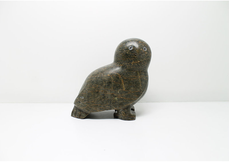 7431 Owl by Kupapi Ningeocheak