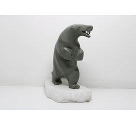 24262 Bear on Ice by Davie Atchealak