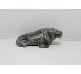 24280 Walrus by Pauta Saila