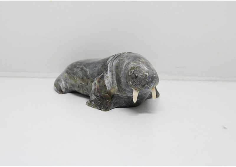 24280 Walrus by Pauta Saila