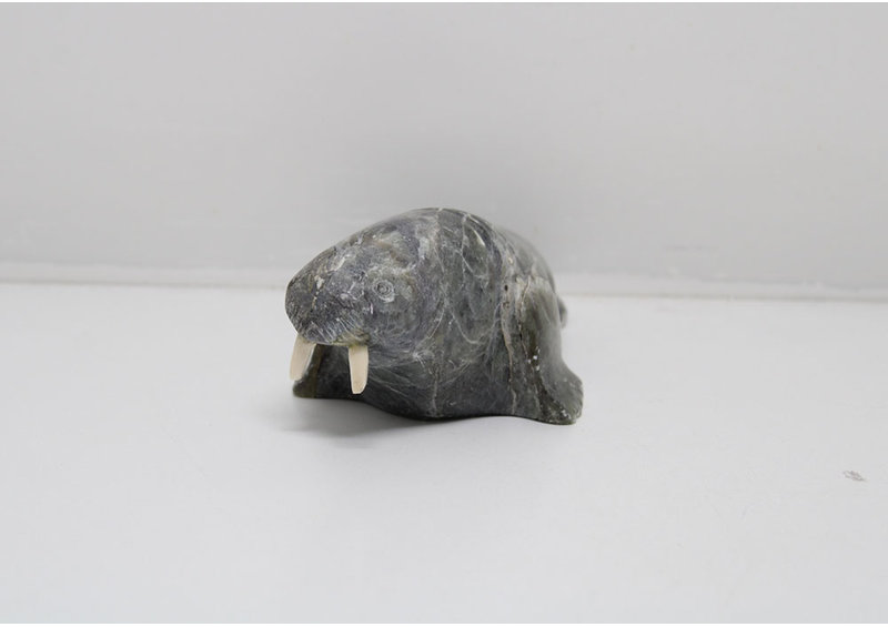 24280 Walrus by Pauta Saila