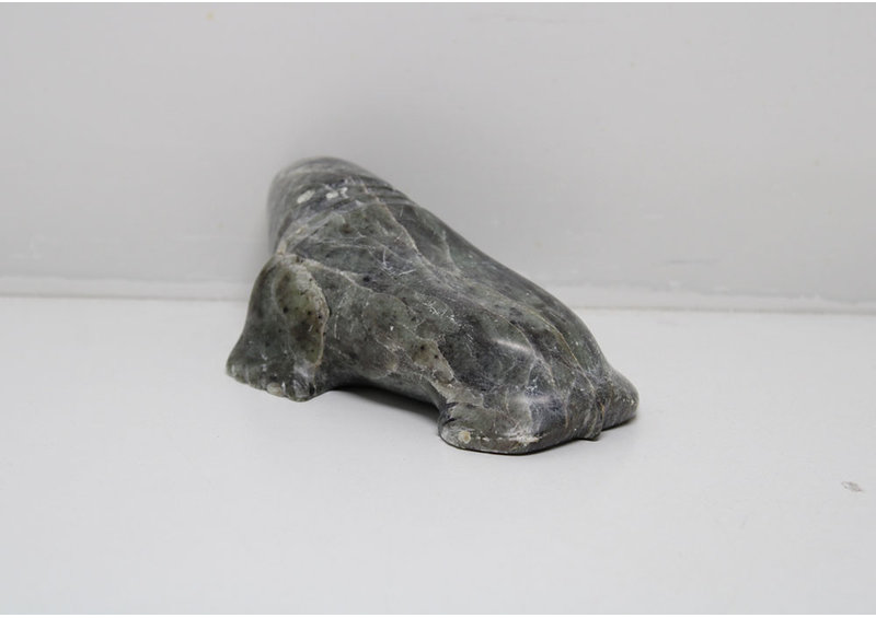 24280 Walrus by Pauta Saila