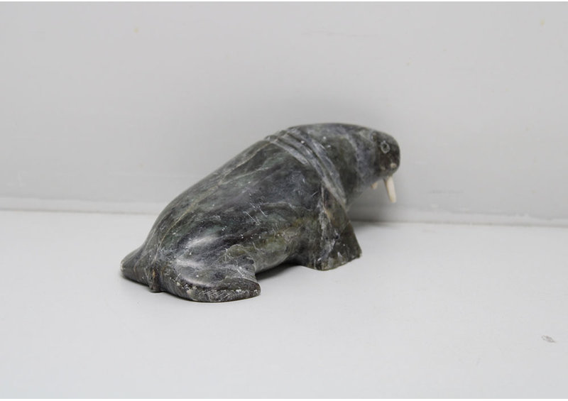 24280 Walrus by Pauta Saila