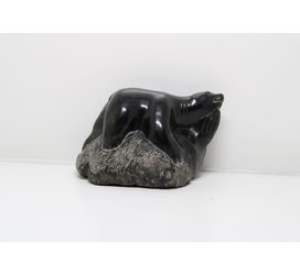 24285 Bear hunts seal by Lypa Pitsiulak