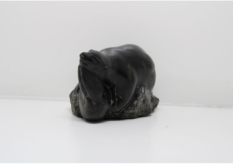 24285 Bear hunts seal by Lypa Pitsiulak