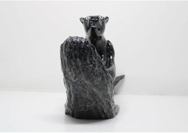 501 Sedna with dog by Jomie Aipeelee