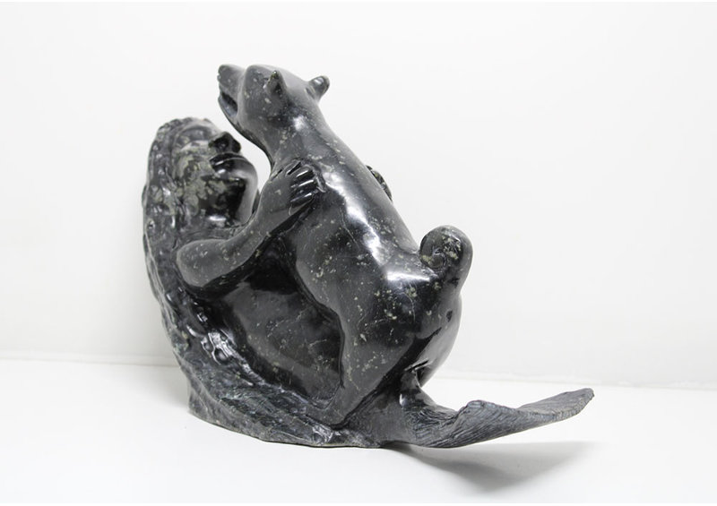 501 Sedna with dog by Jomie Aipeelee