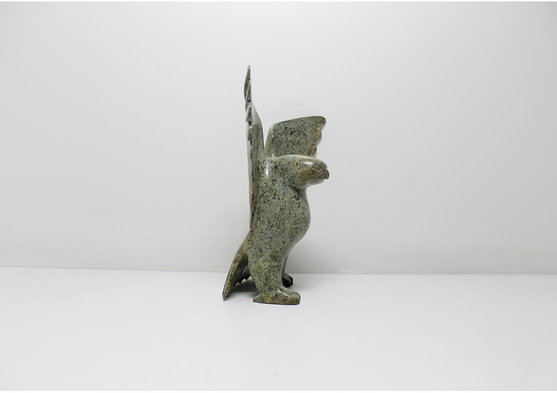 6166 Owl by Alasua Sharky