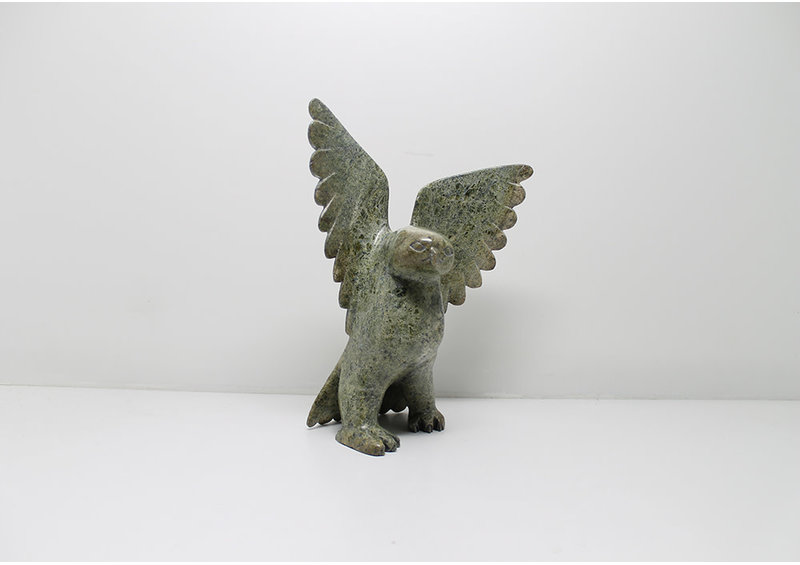 6166 Owl by Alasua Sharky