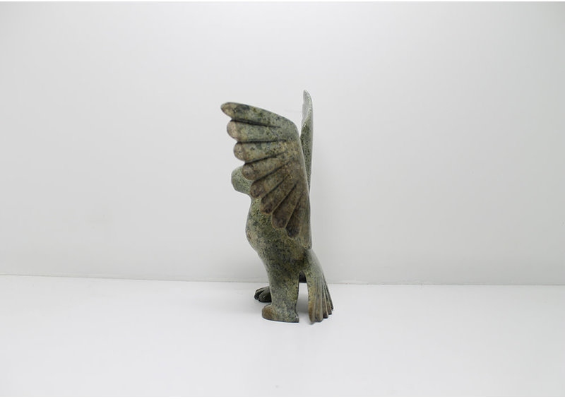 6166 Owl by Alasua Sharky