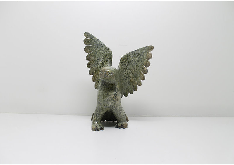 6166 Owl by Alasua Sharky