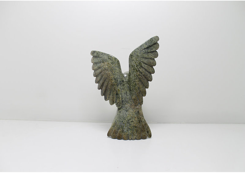 6166 Owl by Alasua Sharky