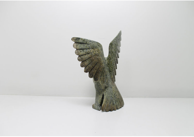 6166 Owl by Alasua Sharky