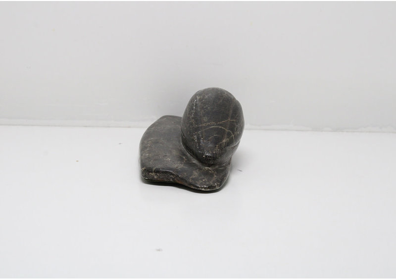 24328 Loon by Unknown Artist