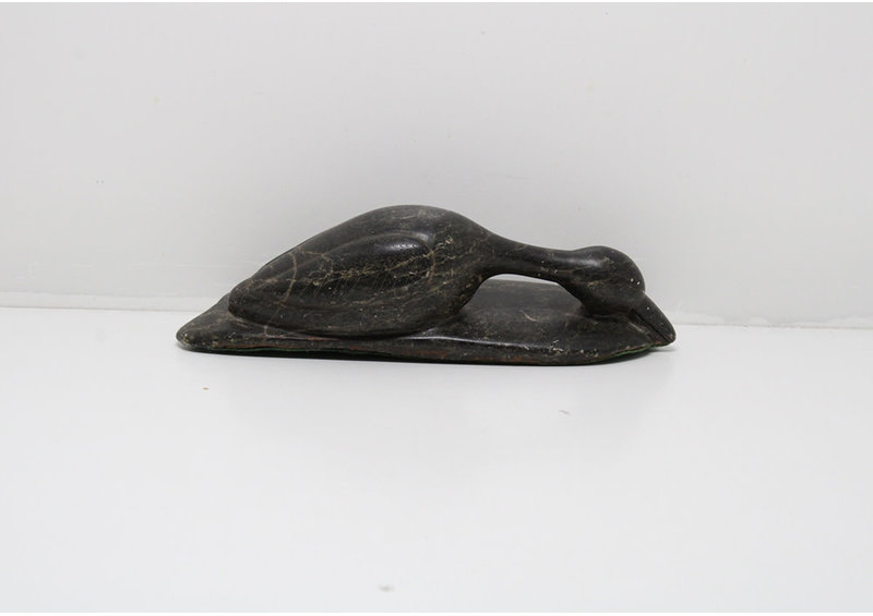 24328 Loon by Unknown Artist