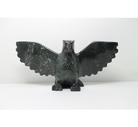 349 Bird by Jomie Aipeelee