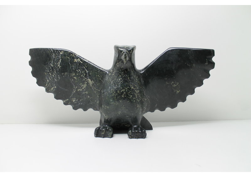 349 Bird by Jomie Aipeelee