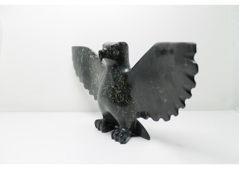 349 Bird by Jomie Aipeelee