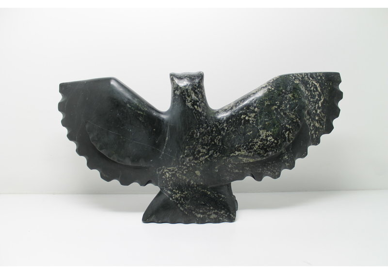 349 Bird by Jomie Aipeelee